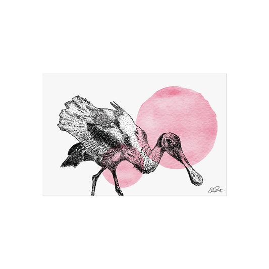 Roseate Spoonbill - Stipple/Pink Watercolor