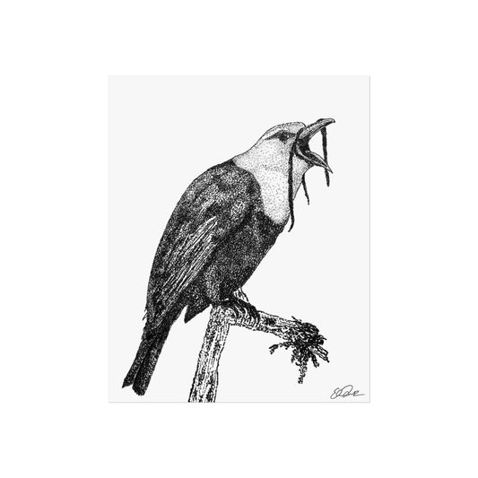 Three-wattled Bellbird Stipple