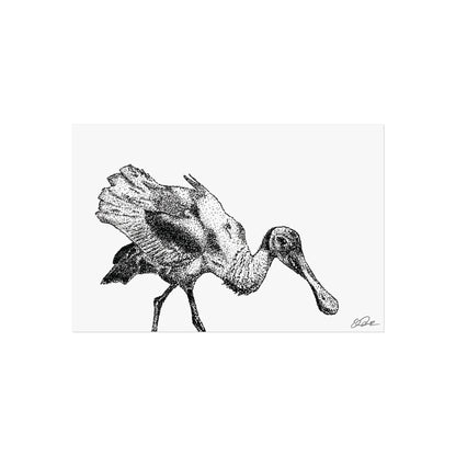 Roseate Spoonbill Stipple