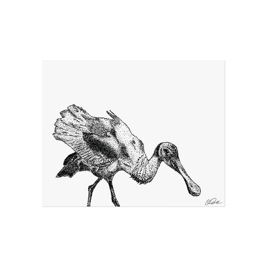 Roseate Spoonbill Stipple