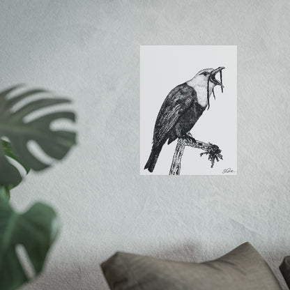 Three-wattled Bellbird Stipple