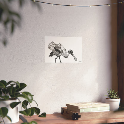 Roseate Spoonbill Stipple