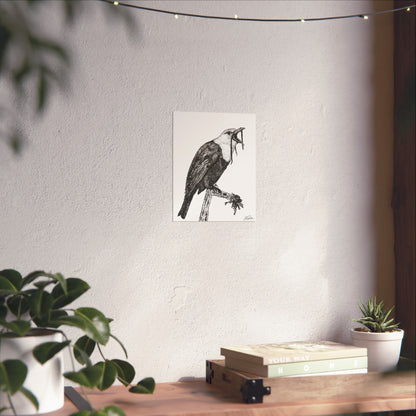 Three-wattled Bellbird Stipple