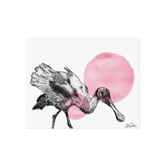 Roseate Spoonbill - Stipple/Pink Watercolor