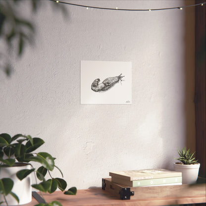 Banana Slug Stipple