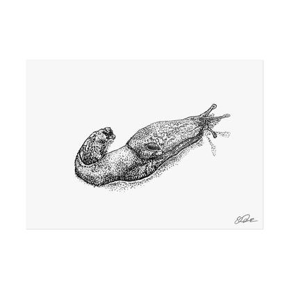 Banana Slug Stipple