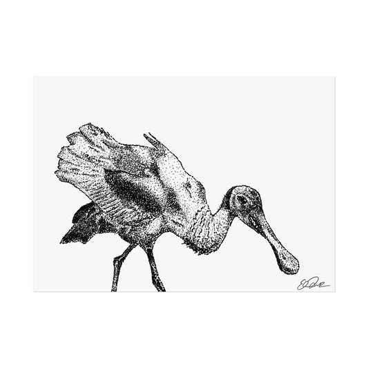 Roseate Spoonbill Stipple