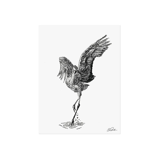 Sandhill Crane Scientific Name Print