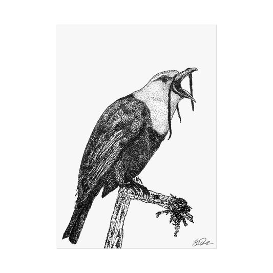 Three-wattled Bellbird Stipple