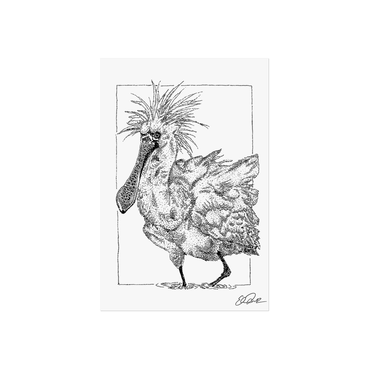 Black-faced Spoonbill Stipple Print