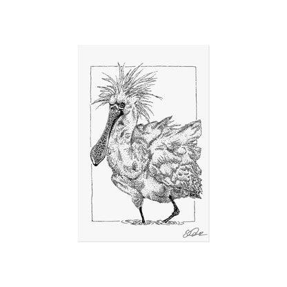 Black-faced Spoonbill Stipple Print