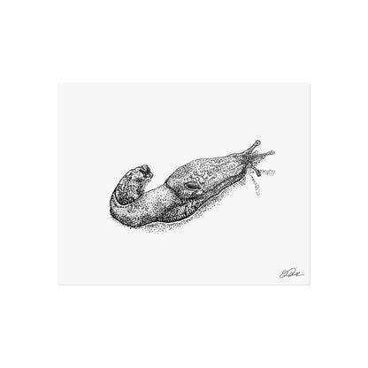 Banana Slug Stipple
