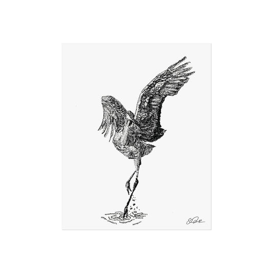 Sandhill Crane Scientific Name Print