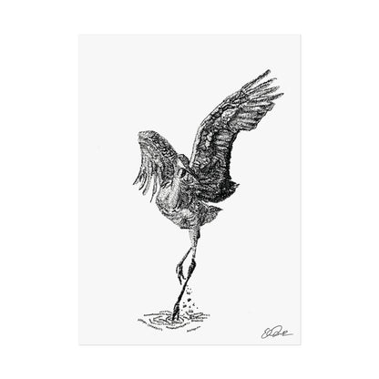 Sandhill Crane Scientific Name Print