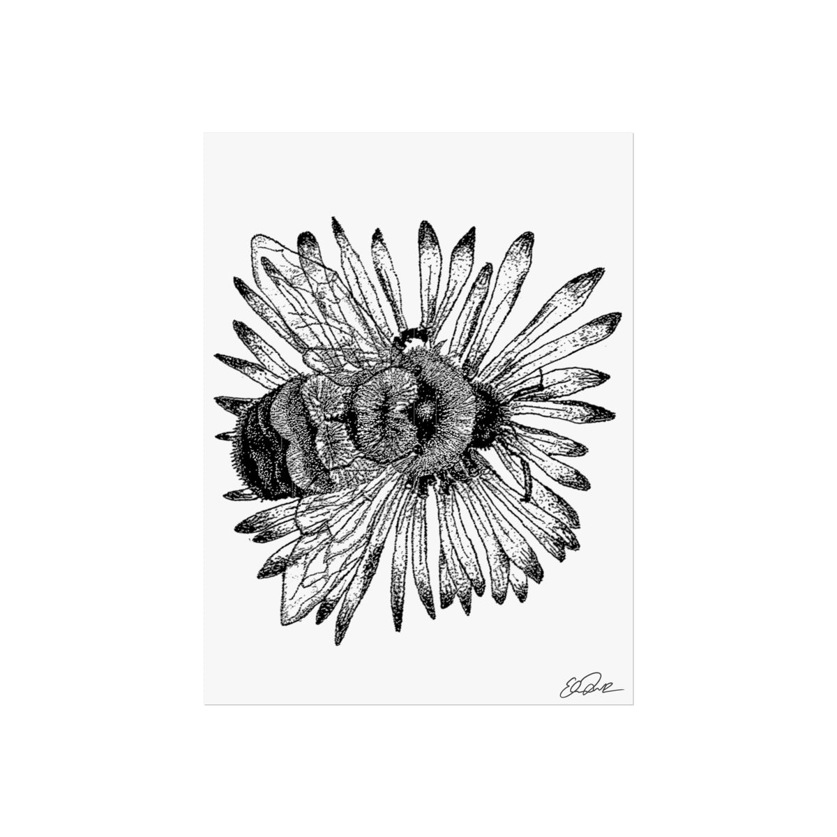 Rusty-patched Bumble Bee Stipple Print